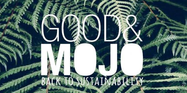 Lights made of sustainable materials. 5% of proceeds go to the WakaWaka Foundation to provide solar lights for people in humanitarian aid situations 